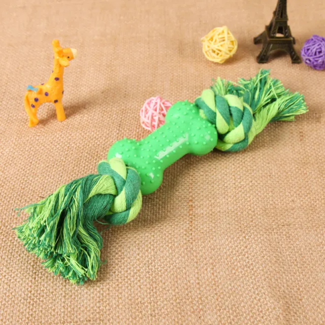 Plastic Bone Seal String Pet Toy Green - Shop at LoveMi
