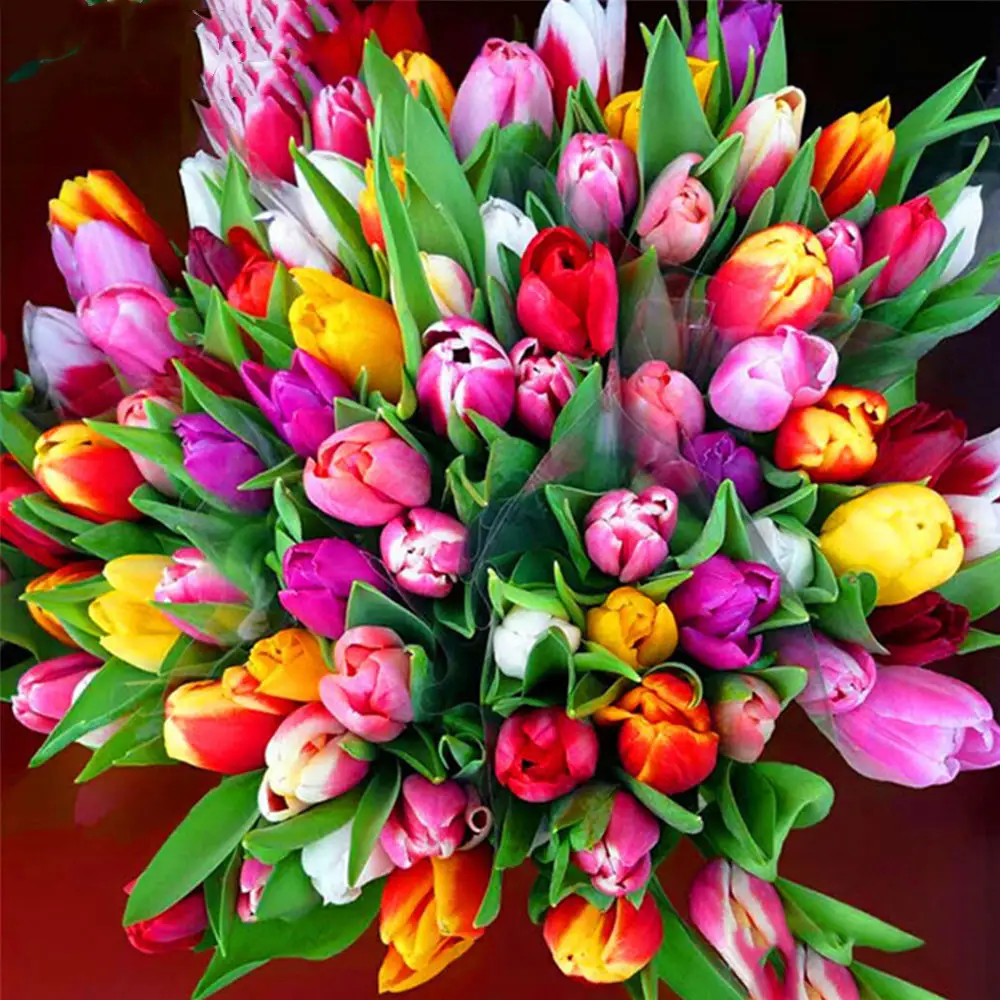 Tulip Theme Diamond Painting, Full 5D Embroidery