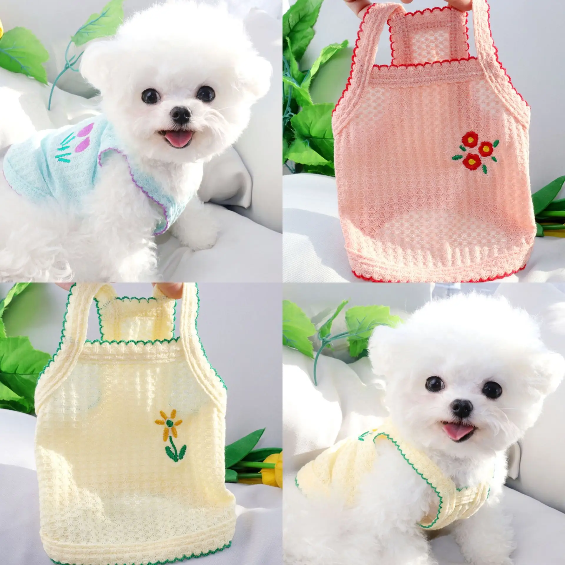 Teddy Bomei VIP Cat Small Dog Pet
