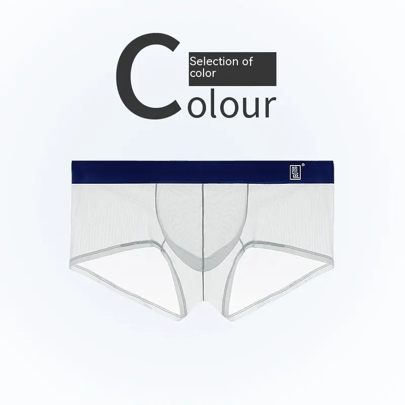 Thin Ice Silk Mesh Boxer Shorts For Men