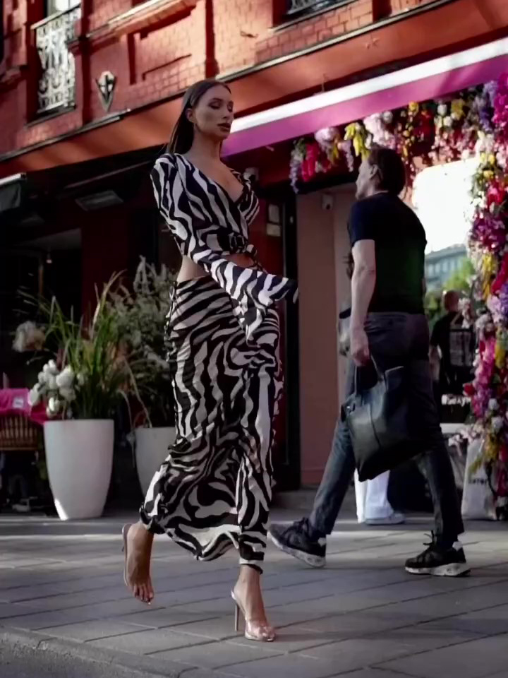 Zebra Print Crop Top Tunic Skirt Suit