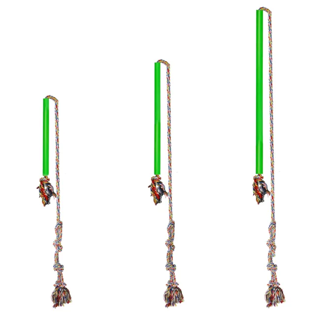 Pet Supplies Training Dog Pole Green - Shop at LoveMi