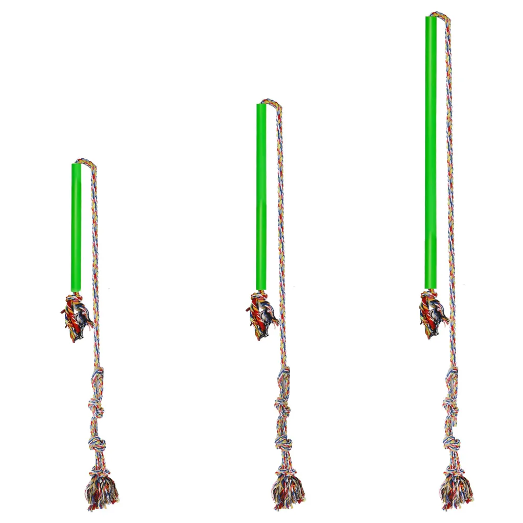 Pet Supplies Training Dog Pole - Green
