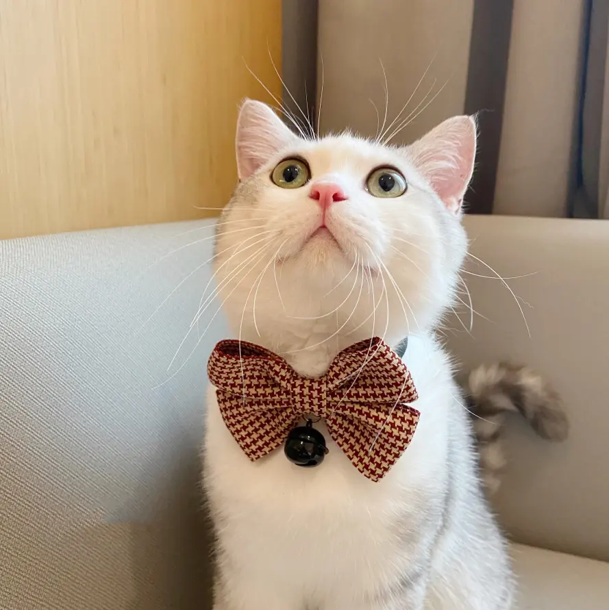 Pet Collar Puppet Cat Bow