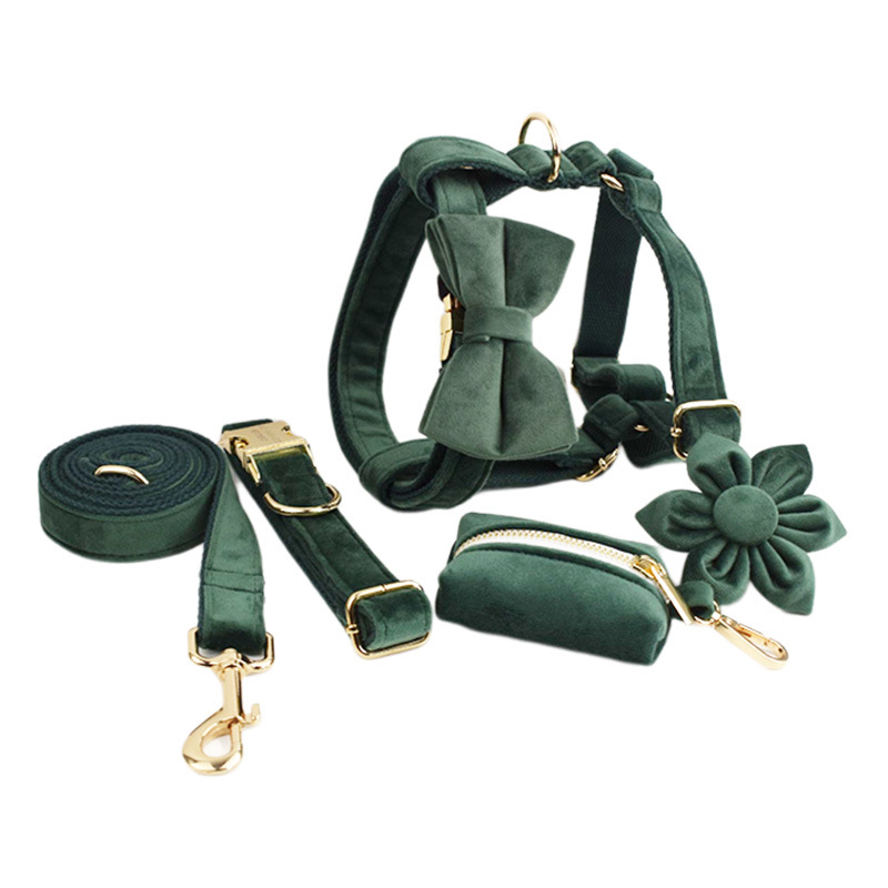 Collier pour animaux de compagnie en tissu velours pour chien