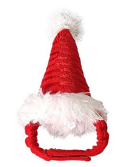 Red Santa Hat