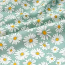 Chrysanthemum Green