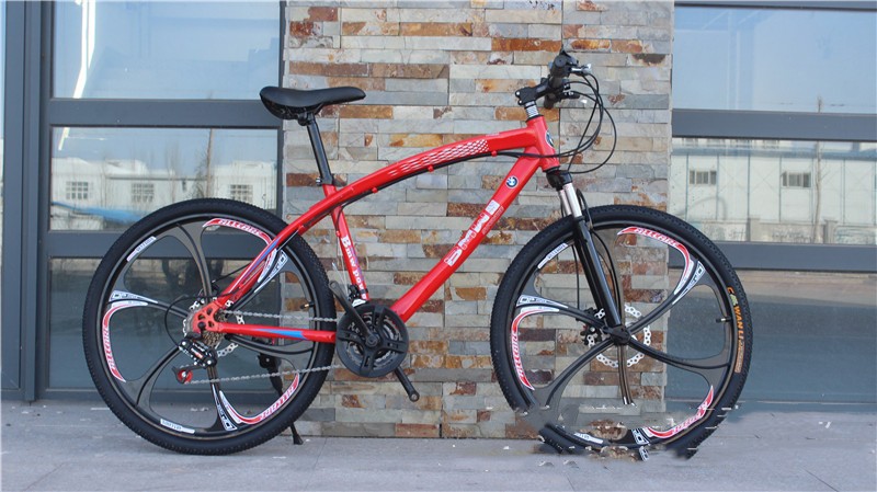 Red BMW Cross Country Mountain Bike