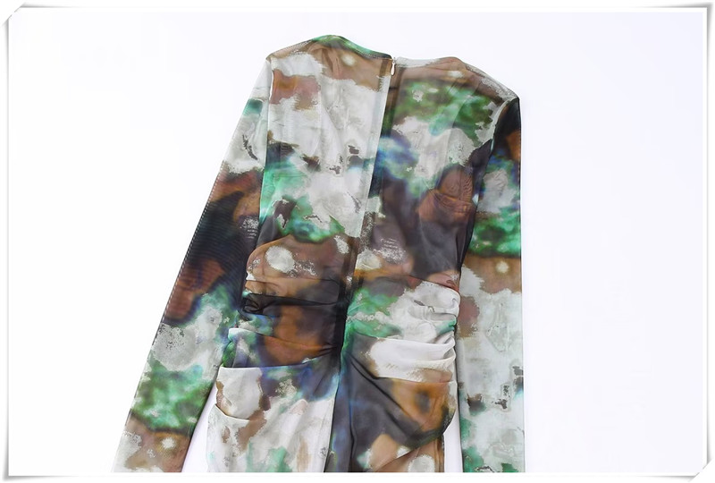 Ladies Printed Tulle Pullover Round Neck Long Sleeve Pleated Dress