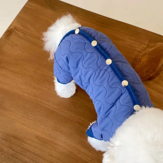 Teddy Thickened Bomei Clothes Than Bear Blue - Shop at LoveMi