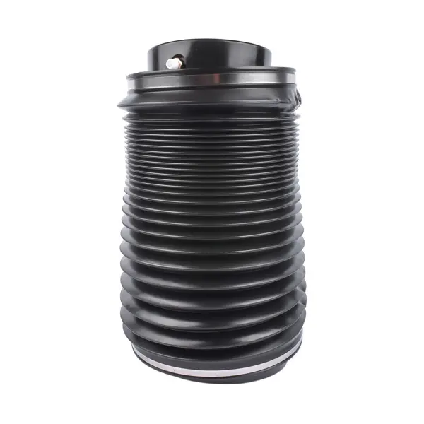 Air Suspension Spring Bag Rear