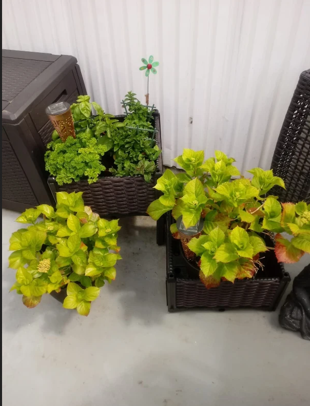 Raised Garden Bed With Legs And Self-watering Planter Box_voghion.com