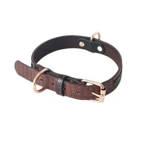 Pet Leash