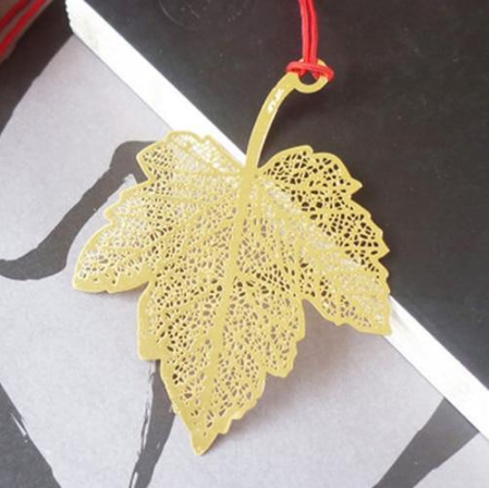 Sycamore leaf