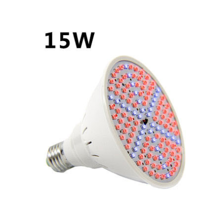 15W xenon lamp