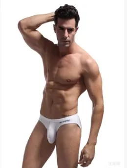 Men's Underwear Briefs