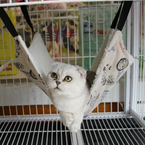 7 Colors Warm Hang Cat Bed Mat Soft Cat