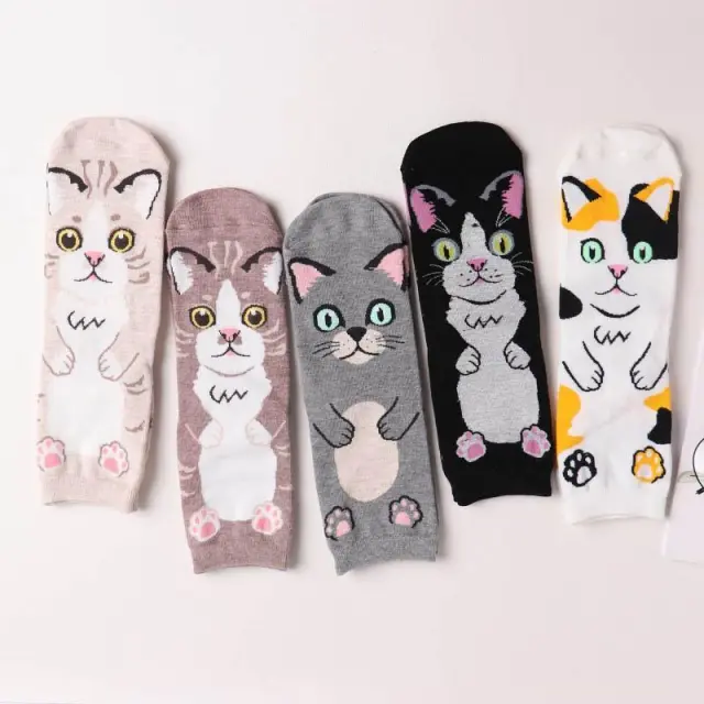 Spring and autumn new cartoon straight socks female adult animal cute female socks cat cotton socks in stockings 5Pcs - Shop at LoveMi