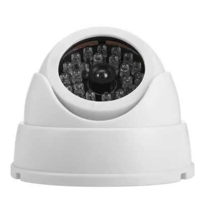 Realistic Dummy Surveillance Security Fisheye Camera