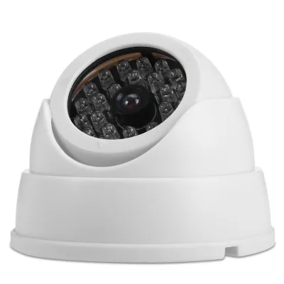 Realistic Dummy Surveillance Security Fisheye Camera