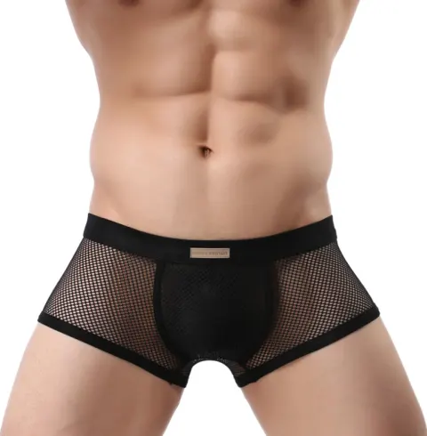 Men's Underwear Sexy Boxer Pants Large Mesh Breathable
