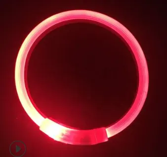 USB Charging Light Collar Night Dog LED Teddy Golden