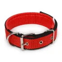 Red Black