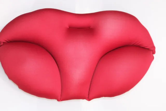 Healthy Lunch Break Office Memory Pillow Red - Shop at LoveMi