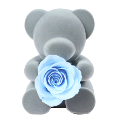 Sitting bear light blue