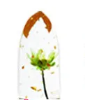 Minfei transparent gold foil temperature change flowers flowers jelly change lipstick - 05 Green Flower - View 1