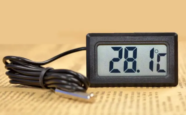 Aquarium Thermometer Black - Shop at LoveMi