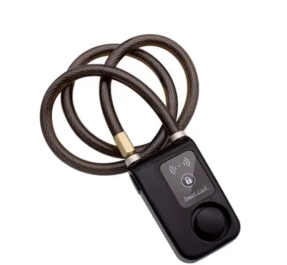 Anti-theft Lock