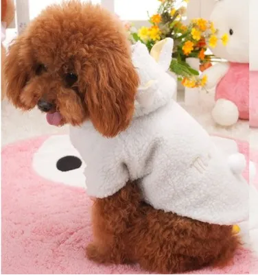 Pet Sheep Costume White - Shop at LoveMi