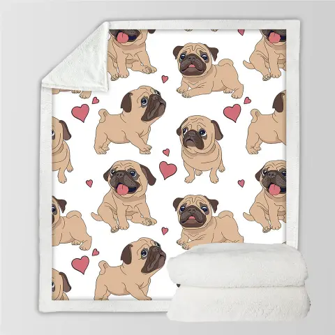 Winter Double-layer Thick Blankets Printed Cotton Fleece Blanket Sofa