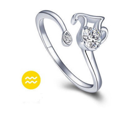 Bague Passion Zodiaque Ajustable