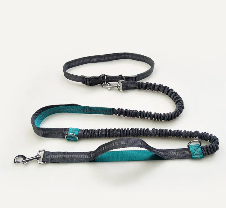 Amazon direct pet supplies multi-function running reflective pull dog leash double elastic dog leash traction – image 10