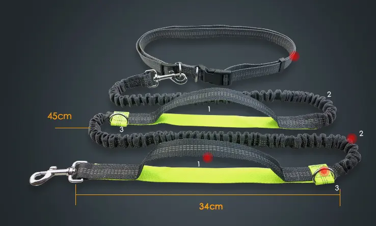 Amazon direct pet supplies multi-function running reflective