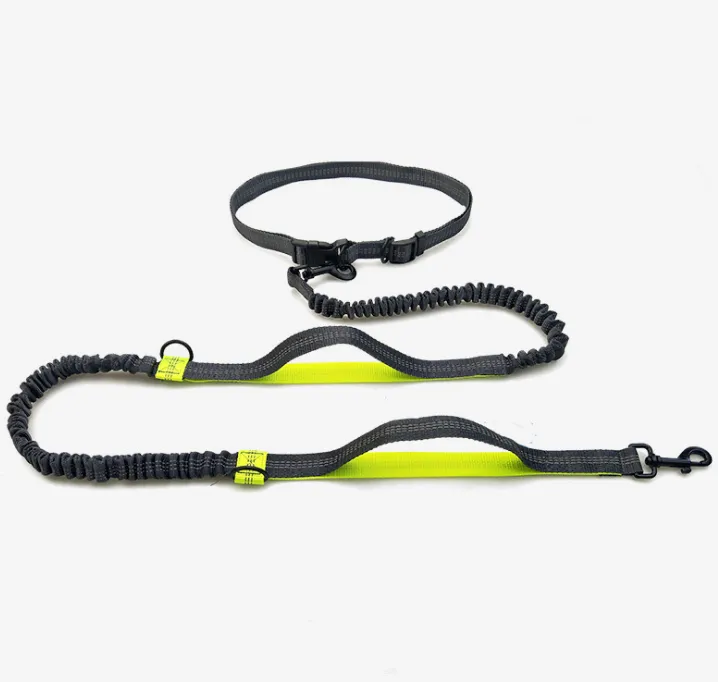 Amazon direct pet supplies multi-function running reflective pull dog leash double elastic dog leash traction – image 8