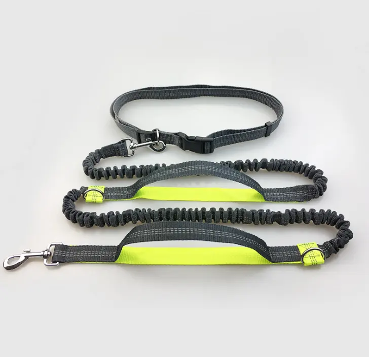 Amazon direct pet supplies multi-function running reflective