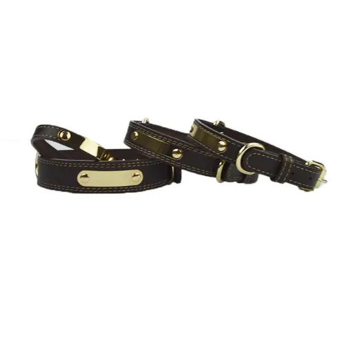 Pet Lettering Dog Collar Medium Dog Large Dog Neck