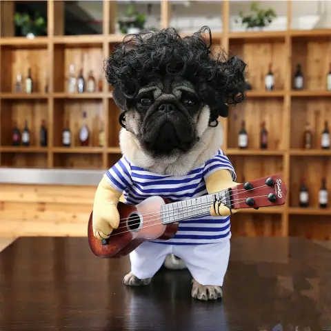 Pet Dog Guitarist Dress