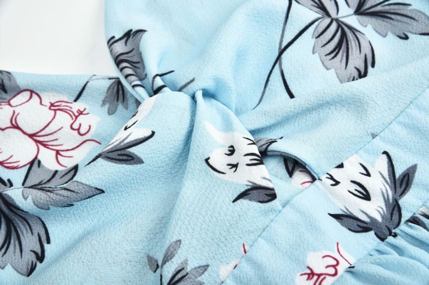 Cross-border exclusive for Amazon explosions women's sling V-neck chiffon print dress sexy split beach dress