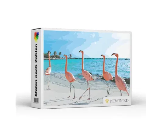 Paint by Numbers Set