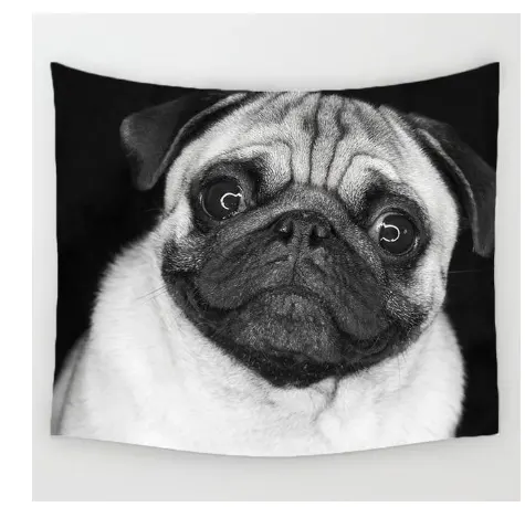 Hanging Cloth Decorative Printing Tapestry