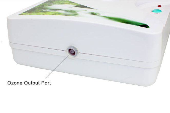 Export of small household fruit and vegetable disinfector ozone generator 220V 600MG