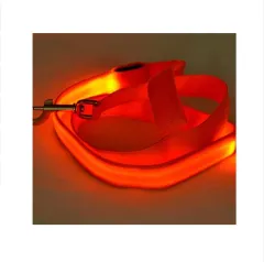 LED Illuminated Traction Nylon Pet Leash - Orange - View 1