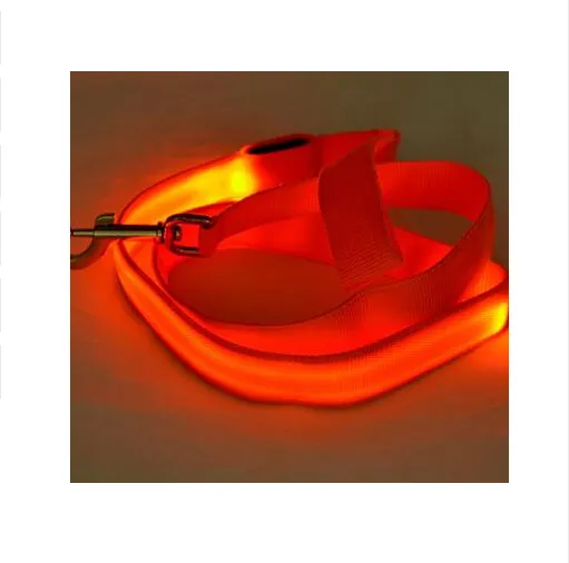 LED Illuminated Traction Nylon Pet Leash Orange - Shop at LoveMi
