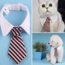Pink Stripes