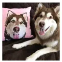 40Cm One Pillow