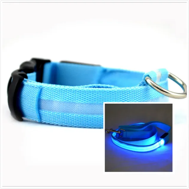Dog LED luminous collar Blue - Shop at LoveMi